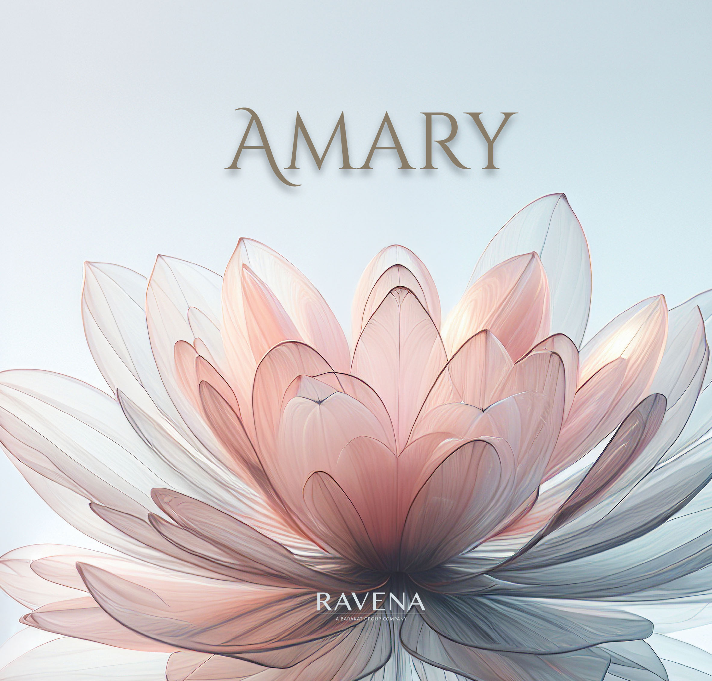 Amary katalógus