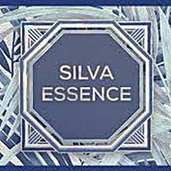 Silva Essence katalógus